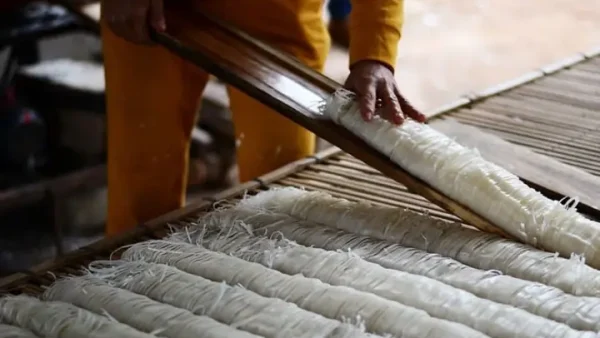 Top 15 Đặc Sản Bắc Giang Nổi Tiếng Ăn Là Nhớ, Chọn Mua Làm Quà Chuẩn Nhất 2027