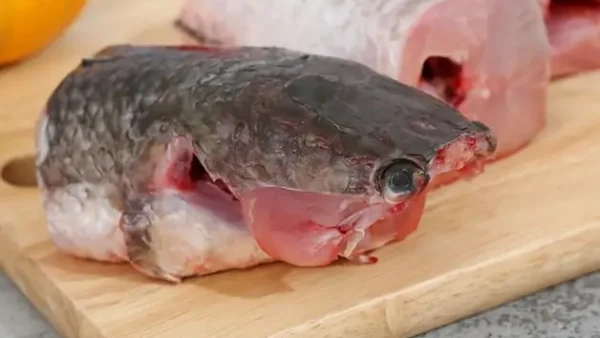 Bánh Canh Cá Lóc Đặc Sản Ở Đâu? Bình Trị Thiên