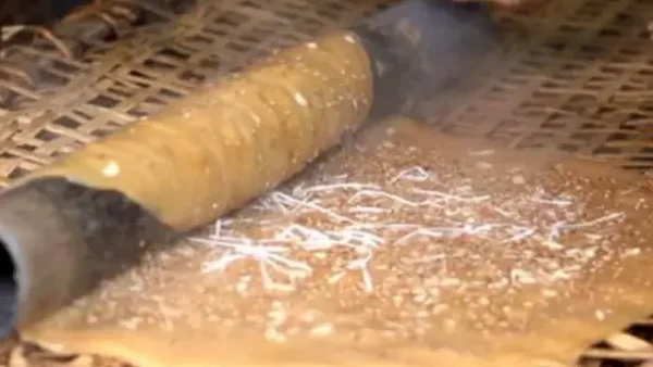 Bánh Đa Là Đặc Sản Ở Đâu? Tổng Hợp 3 Vùng Miền Nổi Tiếng (hải Phòng, Bắc Giang, Ninh Bình) Và Nhận Diện Các Loại