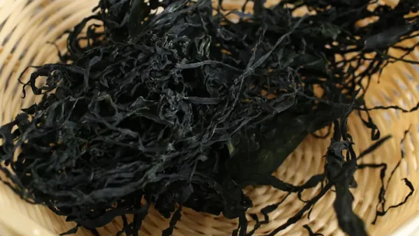 Top Các Loại Bánh Đặc Sản Quy Nhơn Ngon Nổi Tiếng, Nên Mua Làm Quà