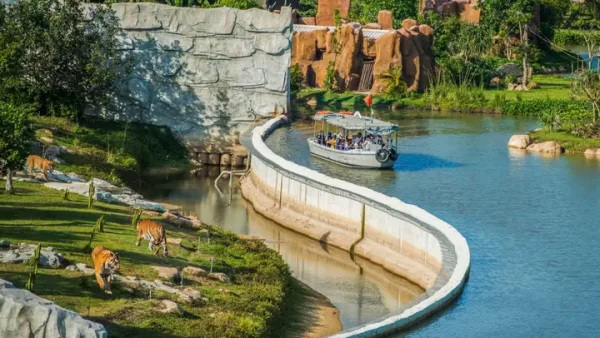 Top 10+ Địa Chỉ Mua Bánh Đậu Xanh Hội An Chuẩn Vị, Uy Tín 2027: Giá, Loại & Mẹo Chọn Quà