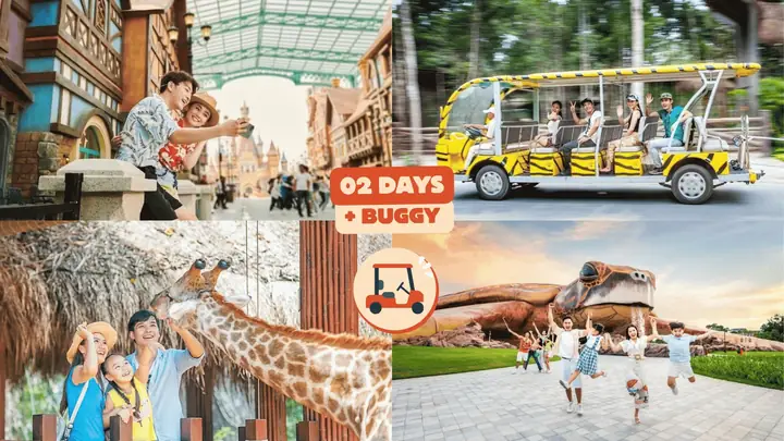 Bánh Ít Lá Gai Là Đặc Sản Của Tỉnh Nào? Đáp Án Bình Định - Phú Yên - Quảng Ngãi & Toàn Cảnh Văn Hóa Ẩm Thực Bánh Ít Lá Gai Là Đặc Sản Của Tỉnh Nào? Đáp Án Bình Định - Phú Yên - Quảng Ngãi & Toàn Cảnh Văn Hóa Ẩm Thực