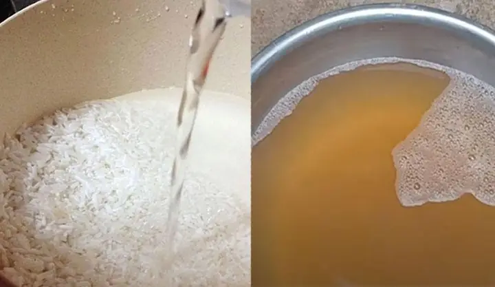 Bánh Tro Đặc Sản Ở Đâu? Danh Sách Tỉnh Thành Nổi Tiếng 3 Miền & Địa Chỉ Mua Uy Tín Bánh Tro Đặc Sản Ở Đâu? Danh Sách Tỉnh Thành Nổi Tiếng 3 Miền & Địa Chỉ Mua Uy Tín