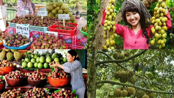 Bình Dương Có Đặc Sản Gì? Top 20 Món Ngon, Nông Sản Và Quà Tặng