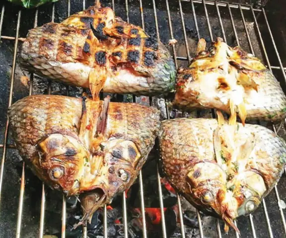 Tổng Hợp Các Loại Cá Đặc Sản Việt Nam Theo Vùng Miền: Tên Gọi, Đặc Điểm Nhận Dạng & Món Ăn Điển Hình Tổng Hợp Các Loại Cá Đặc Sản Việt Nam Theo Vùng Miền: Tên Gọi, Đặc Điểm Nhận Dạng & Món Ăn Điển Hình