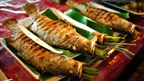 Cá Đặc Sản Hòa Bình: Danh Sách Các Loại Thơm Ngon, Nổi Bật Nhất Định Phải Thử