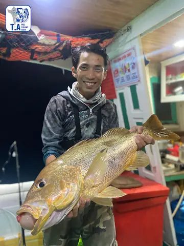 Top 10+ Loài Cá Đặc Sản Phú Quốc Ngon Nhất & Món Ăn Đặc Trưng (kèm Cách Chọn Mua)