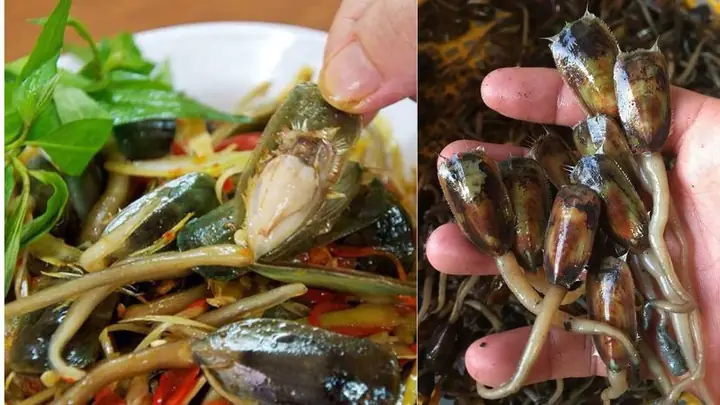 Cà Xỉu Hà Tiên Là Gì? - Hướng Dẫn Món Ăn Đặc Sản Vùng Biển Kiên Giang