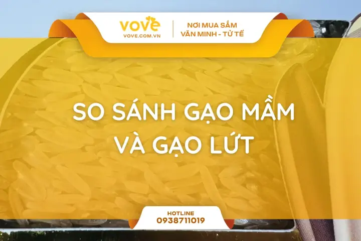 Các Loại Đặc Sản Theo Vùng Miền Việt Nam – Danh Sách Món Ăn Nổi Tiếng Từ Bắc, Trung Tới Nam