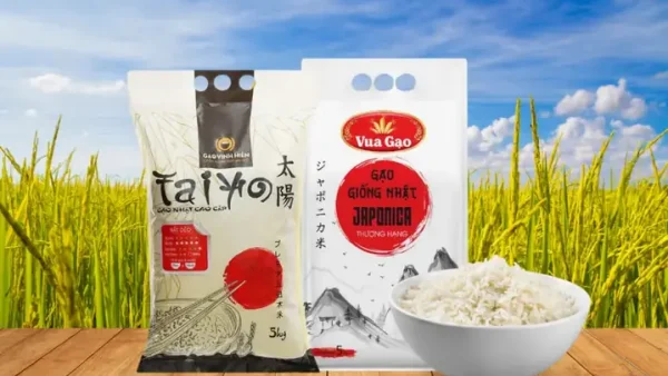 Tổng Hợp Các Loại Gạo Đặc Sản Việt Nam Theo Vùng Miền: Đặc Điểm Nhận Diện, Giá Tham Khảo & Cách Chọn Mua