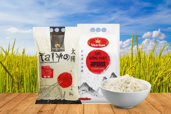 Tổng Hợp Các Loại Gạo Đặc Sản Việt Nam Theo Vùng Miền: Đặc Điểm Nhận Diện, Giá Tham Khảo & Cách Chọn Mua