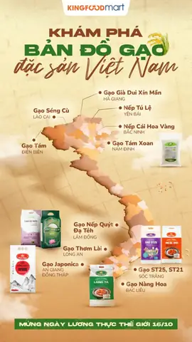 Tổng Hợp Các Loại Gạo Đặc Sản Việt Nam Theo Vùng Miền: Đặc Điểm Nhận Diện, Giá Tham Khảo & Cách Chọn Mua