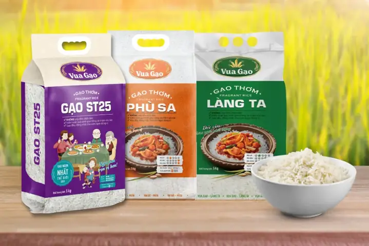 Tổng Hợp Các Loại Gạo Đặc Sản Việt Nam Theo Vùng Miền: Đặc Điểm Nhận Diện, Giá Tham Khảo & Cách Chọn Mua