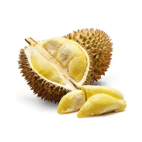 Khám Phá Danh Sách Các Loại Trái Cây Đặc Sản Miền Tây Nổi Tiếng – Mùa Ngon, Đặc Điểm Và Gợi Ích Chọn Lọc