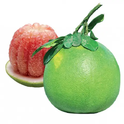 Khám Phá Danh Sách Các Loại Trái Cây Đặc Sản Miền Tây Nổi Tiếng – Mùa Ngon, Đặc Điểm Và Gợi Ích Chọn Lọc