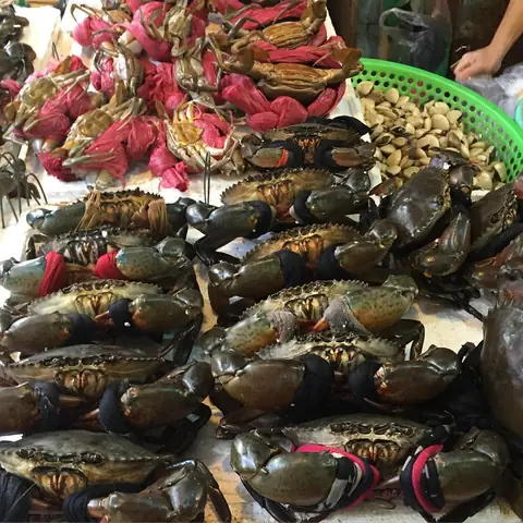 Top 25+ Món Ăn Đặc Sản Nha Trang Ngon Nhất 2025: Ăn Gì, Ăn Ở Đâu, Mua Quà Gì? (có Địa Chỉ Quán Uy Tín)