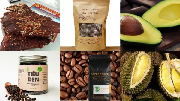 Top 20+ Món Ăn Đặc Sản Buôn Ma Thuột Phải Thử Một Đời: Ăn Ngay & Mua Quà Kèm Địa Chỉ Uy Tín