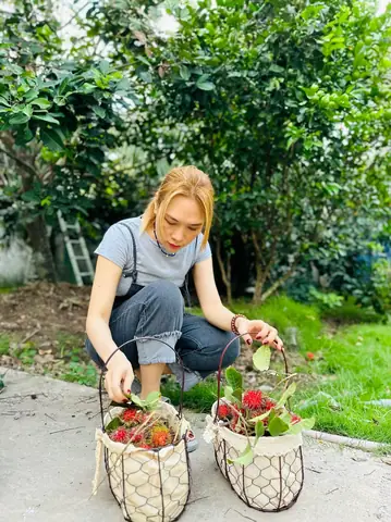 Chôm Chôm Đặc Sản Ở Đâu? Những Vùng Trồng Và Vườn Nổi Tiếng Tại Việt Nam Chôm Chôm Đặc Sản Ở Đâu? Những Vùng Trồng Và Vườn Nổi Tiếng Tại Việt Nam
