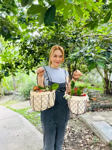Chôm Chôm Đặc Sản Ở Đâu? Những Vùng Trồng Và Vườn Nổi Tiếng Tại Việt Nam Chôm Chôm Đặc Sản Ở Đâu? Những Vùng Trồng Và Vườn Nổi Tiếng Tại Việt Nam
