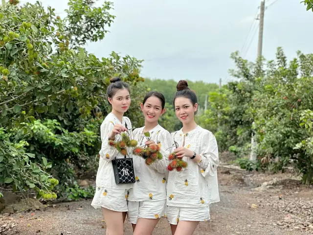 Chôm Chôm Đặc Sản Ở Đâu? Những Vùng Trồng Và Vườn Nổi Tiếng Tại Việt Nam Chôm Chôm Đặc Sản Ở Đâu? Những Vùng Trồng Và Vườn Nổi Tiếng Tại Việt Nam