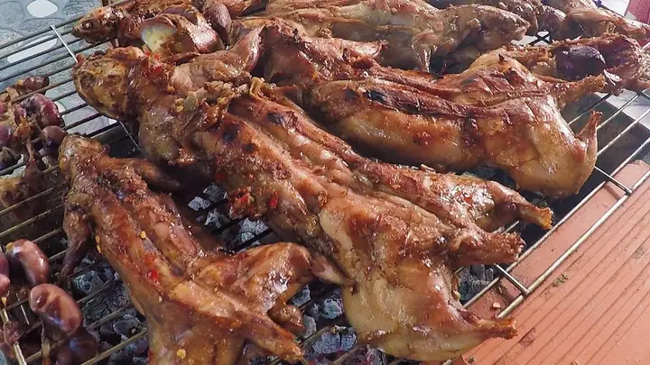 Chuột Đồng Đặc Sản Ở Đâu? Top Vùng Miền, Làng Nghề, Quán Ăn Nổi Tiếng Toàn Quốc & Bí Quyết Chọn Mua An Toàn