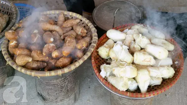 Củ Mài Chùa Hương: Đặc Sản Núi Rừng – Công Dụng, Các Món Ăn, Bánh Ngũ Cốc & Cẩm Nang Chọn Mua Chuẩn
