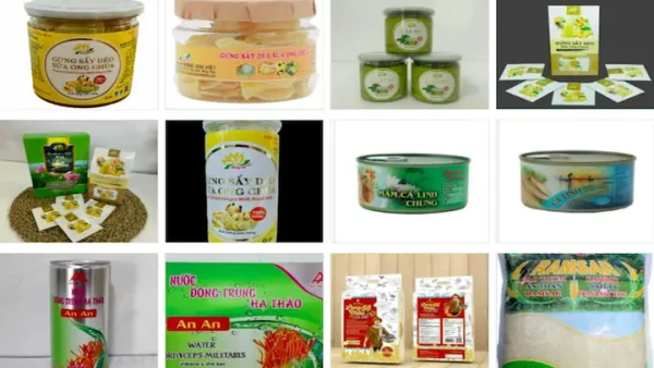 Danh Sách Cửa Hàng Đặc Sản Đồng Tháp Uy Tín: Địa Chỉ Mua Quà Ăn, Sen Hồng, Khô Cá Chính Hãng 2027