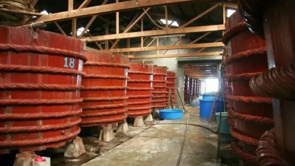 Top Cửa Hàng Đặc Sản Phú Yên Chính Hiệu Uy Tín: Địa Chỉ Mua Tại Tuy Hòa, TP.HCM & Mua Online 2027