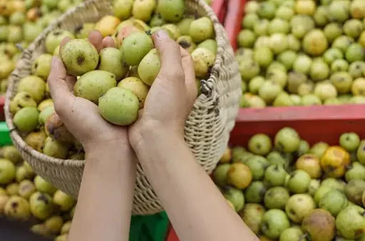 Đặc Sản 365: Trụ Sở Thảo Dược Tây Bắc & Đồ Ngâm Rượu Uy Tín — Review Sản Phẩm, Cách Ngâm & Mẹo Chọn Mua Chuẩn