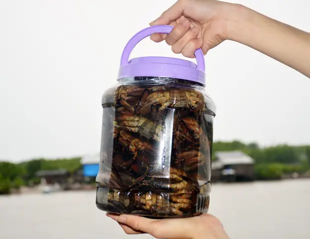 Ba Khía Là Gì? Khám Phá Đặc Sản Cà Mau: Nguồn Gốc, Món Ăn, Giá Cả & Cách Chọn Mua Ngon Ba Khía Là Gì? Khám Phá Đặc Sản Cà Mau: Nguồn Gốc, Món Ăn, Giá Cả & Cách Chọn Mua Ngon