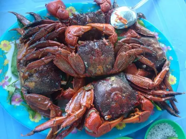 Ba Khía Là Gì? Khám Phá Đặc Sản Cà Mau: Nguồn Gốc, Món Ăn, Giá Cả & Cách Chọn Mua Ngon Ba Khía Là Gì? Khám Phá Đặc Sản Cà Mau: Nguồn Gốc, Món Ăn, Giá Cả & Cách Chọn Mua Ngon
