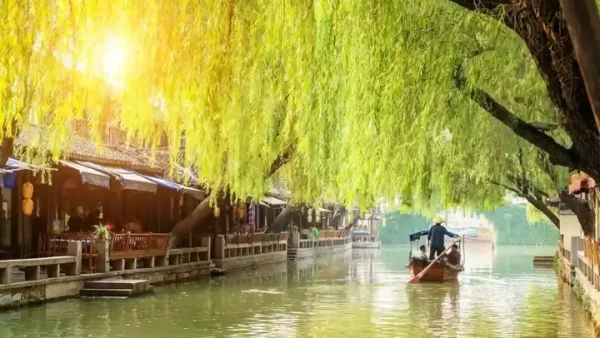 Đặc Sản Bê Thui Cầu Mống: Nguồn Gốc, Quy Trình Chế Biến Và Cách Thưởng Thức Trọn Vị