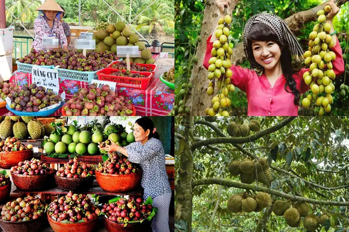Khám Phá 23 Đặc Sản Bình Dương: Món Ngon, Nông Sản Và Quà Tặng