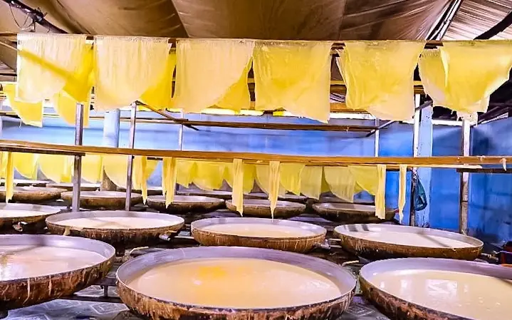 Khám Phá Đặc Sản Bình Minh Vĩnh Long: Từ Thanh Trà, Tàu Hủ Ky Đến Bò Viên, Chả Lụa – Mua Quà Biếu Ở Đâu Ngon, Giá Tốt? Khám Phá Đặc Sản Bình Minh Vĩnh Long: Từ Thanh Trà, Tàu Hủ Ky Đến Bò Viên, Chả Lụa – Mua Quà Biếu Ở Đâu Ngon, Giá Tốt?