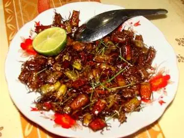 Cách Làm Bọ Xít Rang Giòn Tây Bắc: Nguyên Liệu, Bước Thực Hiện Và Lưu Ý