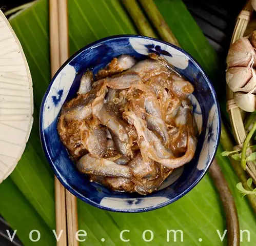 Đặc Sản Cá Linh Miền Tây: Mùa Nước Nổi, 7+ Món Ngon Hấp Dẫn, Ý Nghĩa Văn Hóa & Cách Chọn Mua Tươi Ngon
