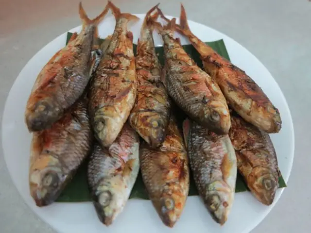 Liệt Kê Các Loại Cá Đặc Sản Nghệ An Nổi Tiếng Và Đặc Điểm Ẩm Thực