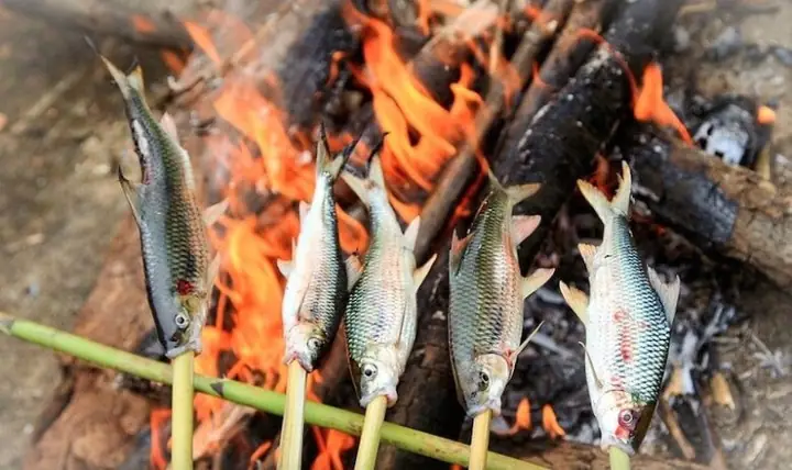 Liệt Kê Các Loại Cá Đặc Sản Nghệ An Nổi Tiếng Và Đặc Điểm Ẩm Thực