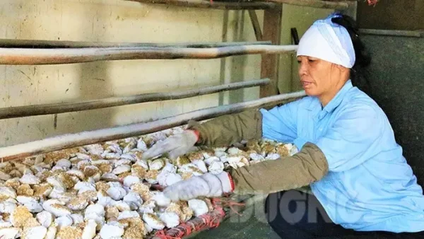 Tổng Hợp Đặc Sản Cẩm Giàng Hải Dương Nổi Tiếng: Bánh Đa Kẻ Sặt, Rượu Phú Lộc, Vải Thiều… Top Quà Tặng Uy Tín