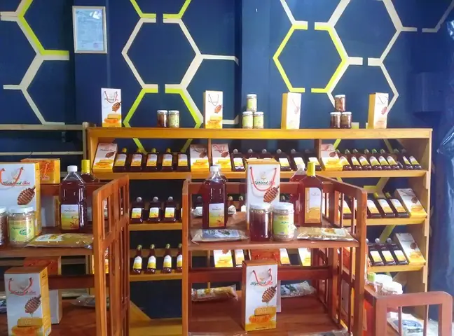 Đặc Sản Cát Bà Nào Nên Mua Về Làm Quà? Top 10 Món Dễ Bảo Quản Đặc Sản Cát Bà Nào Nên Mua Về Làm Quà? Top 10 Món Dễ Bảo Quản
