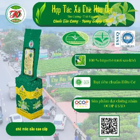 Đặc Sản Chè Tân Cương Thái Nguyên TC3 - 200g