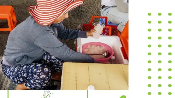 Đặc Sản Chợ Tịnh Biên An Giang: Mua Gì? Tổng Hợp Sản Phẩm Và Kinh Nghiệm Chọn Hàng Tại Chợ Biên Giới
