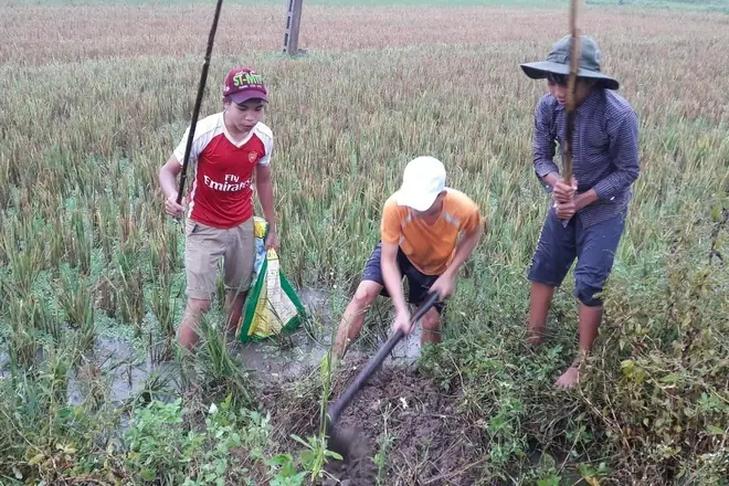 Khám Phá Đặc Sản Chuột Đồng: Các Món Ngon Nổi Tiếng, Vùng Miền Đặc Trưng & Cẩm Nang Ăn Uống An Toàn