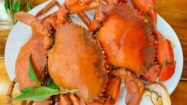 Top 20+ Đặc Sản Cà Mau Nổi Tiếng: Món Ăn Tại Chỗ & Quà Mang Đi (full Hướng Dẫn Chọn Mua 2027)