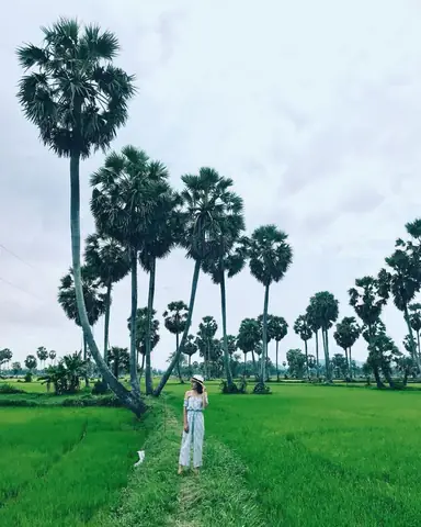 Đặc Sản Việt Nam Là Gì? Tổng Hợp Danh Sách 3 Miền, 63 Tỉnh Thành & Bí Quyết Chọn Mua Quà Chuẩn Vị Đặc Sản Việt Nam Là Gì? Tổng Hợp Danh Sách 3 Miền, 63 Tỉnh Thành & Bí Quyết Chọn Mua Quà Chuẩn Vị
