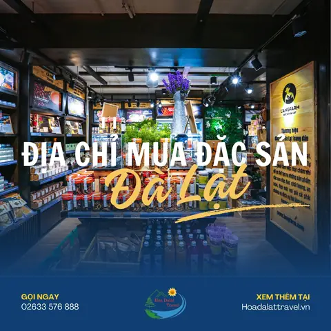 Địa Chỉ Mua Đặc Sản Đà Lạt Uy Tín Năm 2026: Gợi Ý Các Điểm Đến Chất Lượng Và Cách Chọn Quà Chuẩn Xác Địa Chỉ Mua Đặc Sản Đà Lạt Uy Tín Năm 2026: Gợi Ý Các Điểm Đến Chất Lượng Và Cách Chọn Quà Chuẩn Xác