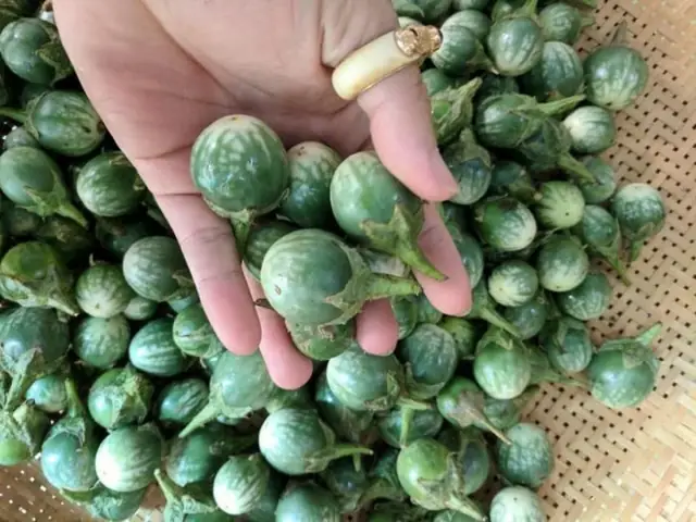 Đặc Sản Đăk Lăk Làm Quà: Top Những Món Ngon Mang Đậm Hương Vị Tây Nguyên Đặc Sản Đăk Lăk Làm Quà: Top Những Món Ngon Mang Đậm Hương Vị Tây Nguyên