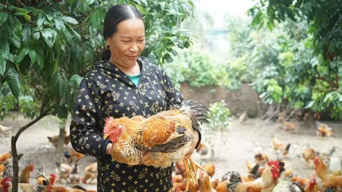 Khám Phá Trọn Vẹn 10 Đặc Sản Đầm Hà Quảng Ninh Nức Tiếng Gây Thương Nhớ Khám Phá Trọn Vẹn 10 Đặc Sản Đầm Hà Quảng Ninh Nức Tiếng Gây Thương Nhớ