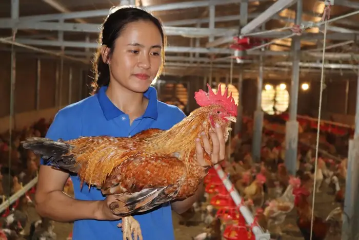 Khám Phá Trọn Vẹn 10 Đặc Sản Đầm Hà Quảng Ninh Nức Tiếng Gây Thương Nhớ Khám Phá Trọn Vẹn 10 Đặc Sản Đầm Hà Quảng Ninh Nức Tiếng Gây Thương Nhớ
