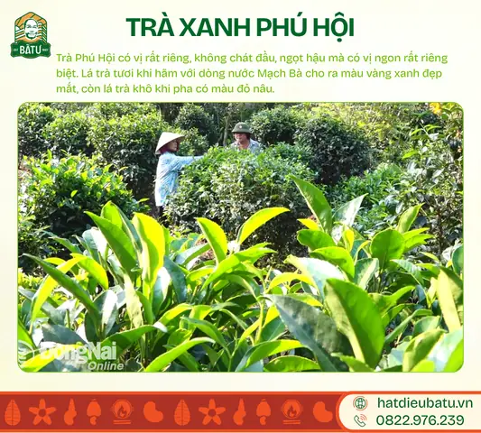 Top Đặc Sản Định Quán Đồng Nai Nổi Tiếng Nhất Năm 2026 Nên Thử Và Mua Làm Quà